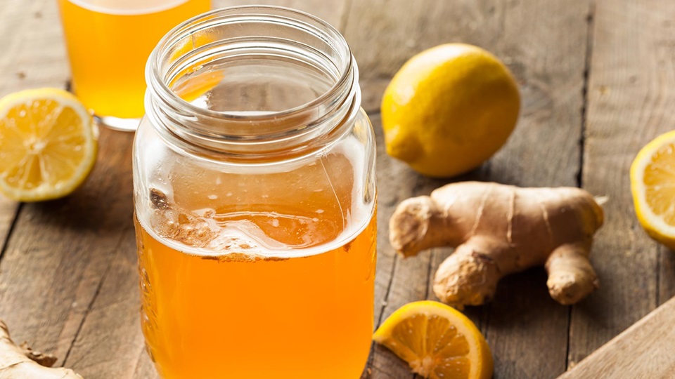 Propiedades té kombucha